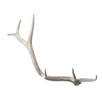 Lazy Susan Weathered Elk Antler