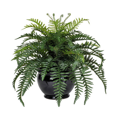 Artificial Fern Desk Top Plant in Fishbowl Decorative Vase Base Color: Black