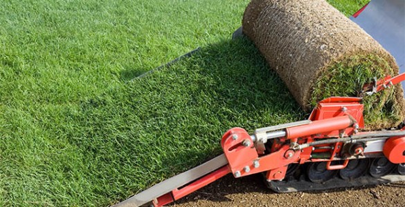 How Does a Sod Cutter Work
