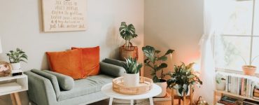 30 Houseplants that Will Purify the Air in Your Home