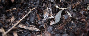 best types of wastes suitable for composting