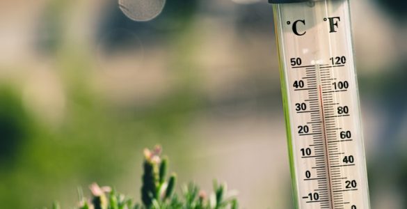 what temperature is too cold for houseplants