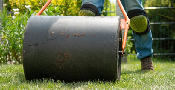 do you roll or aerate your lawn first