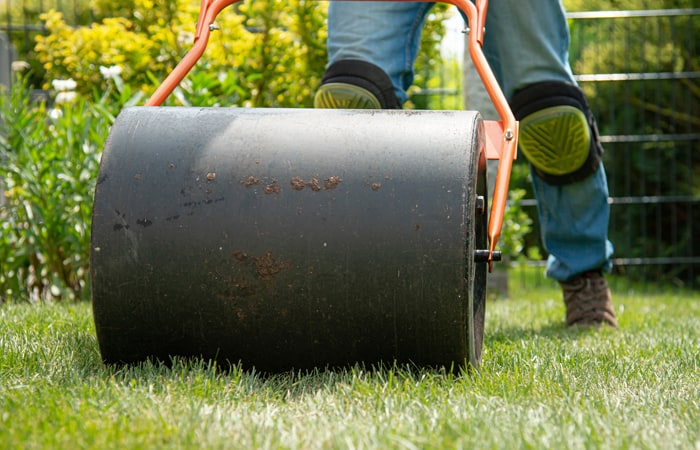 do you roll or aerate your lawn first