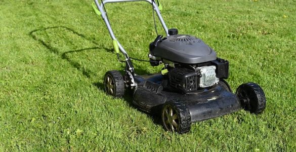 can you water lawn after mowing